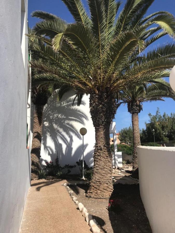 Casa Palmera Costa De Antigua Bagian luar foto